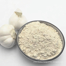 Food Grade Dry Allicin Garlic Powder